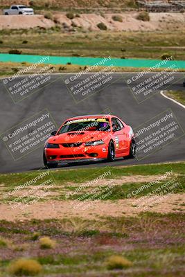 media/Feb-25-2024-Speed Ventures (Sun) [[b9a2a97a4d]]/Mustang Drivers Club/Session 3 (Turn 2)/